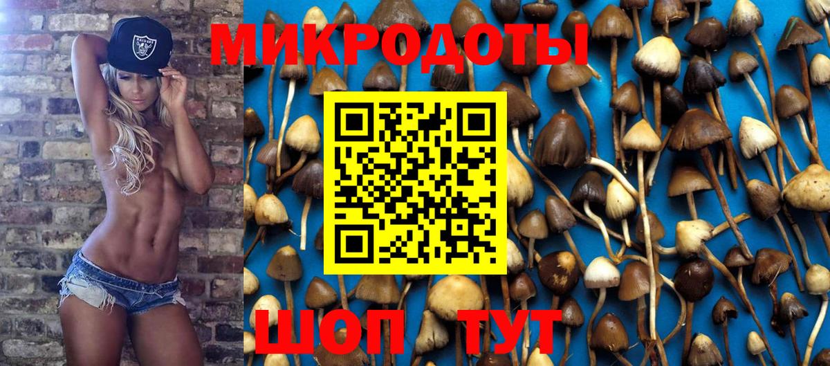 Качканар  Галлюциногенные грибы мицелий  Вход с VPN 