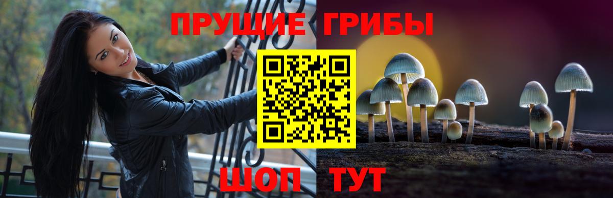 Метадон Качканар